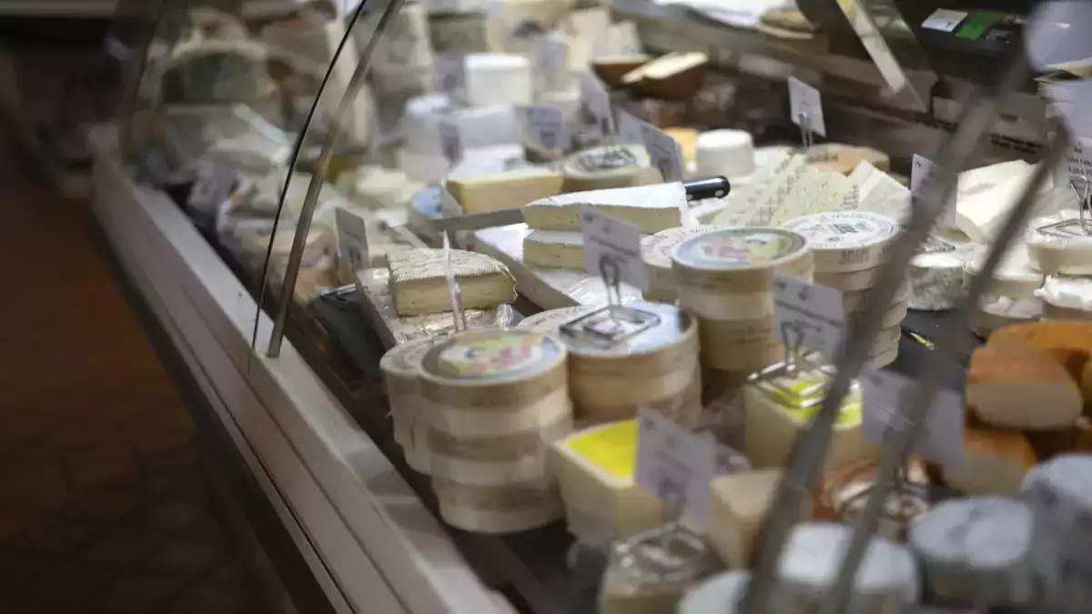 Från disken till hemmet: hur man får en bra start