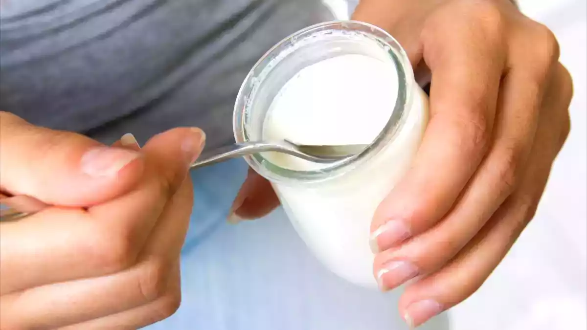 Yoghurt som livselixir: den tusenåriga hemligheten hos de kaukasiska folken