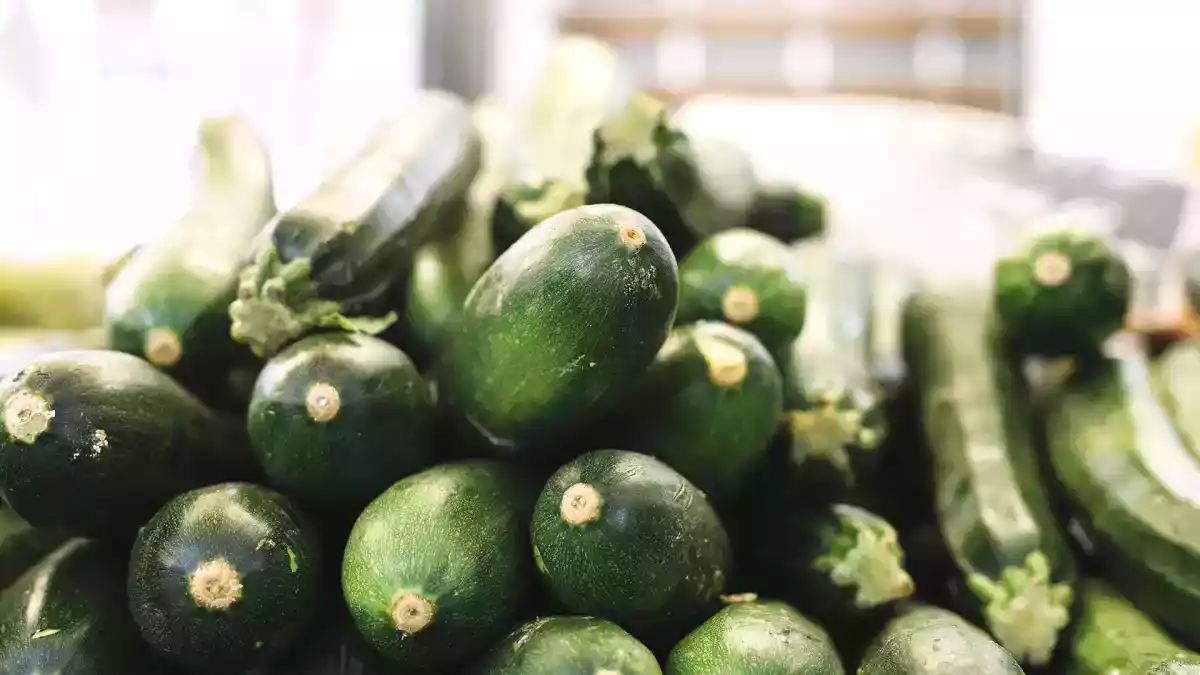 Bittra zucchini? Upptäck nu 5 säkra knep för att göra din maträtt perfekt!