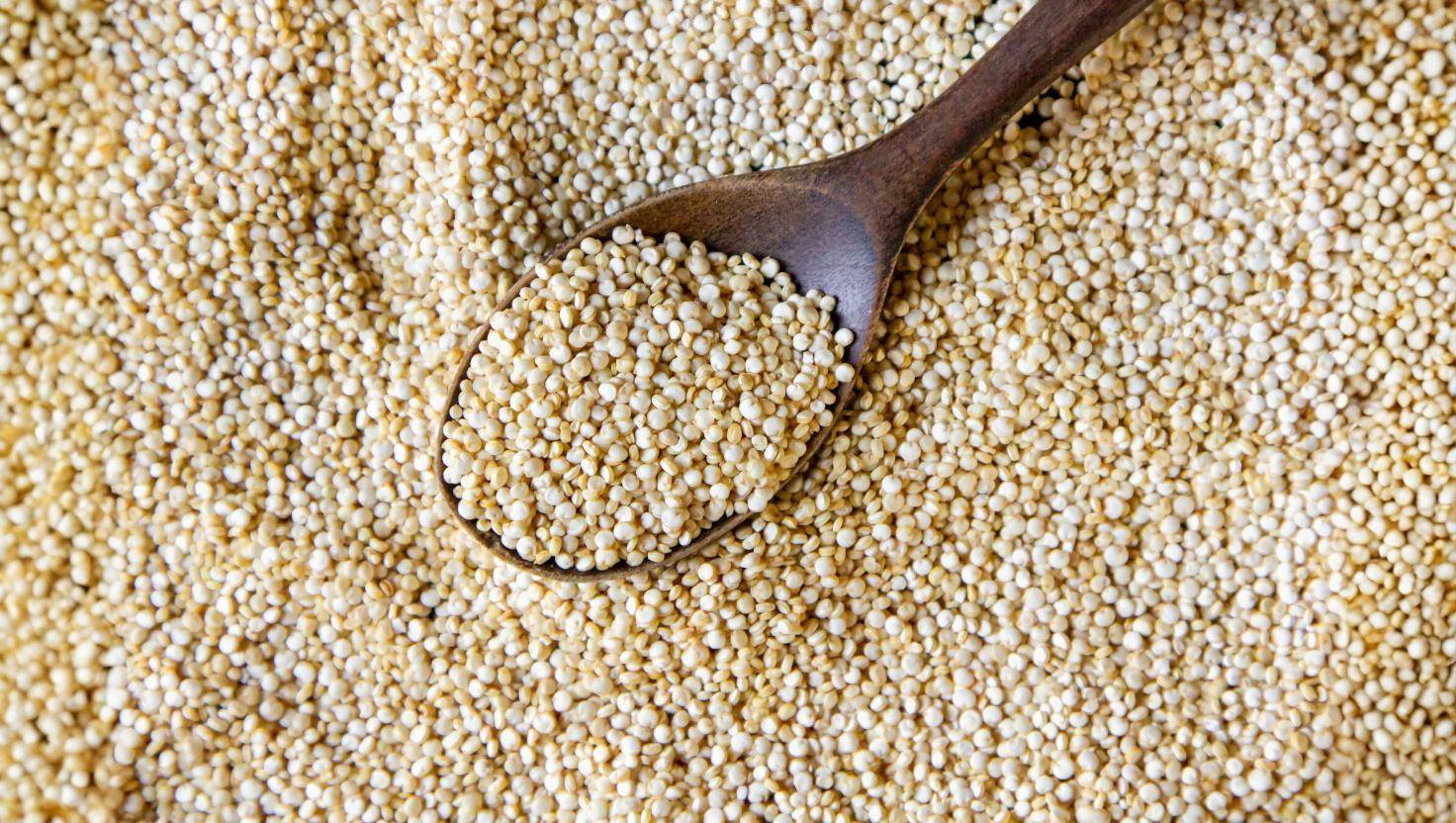 Visste du att vissa frön innehåller mer protein än kött?