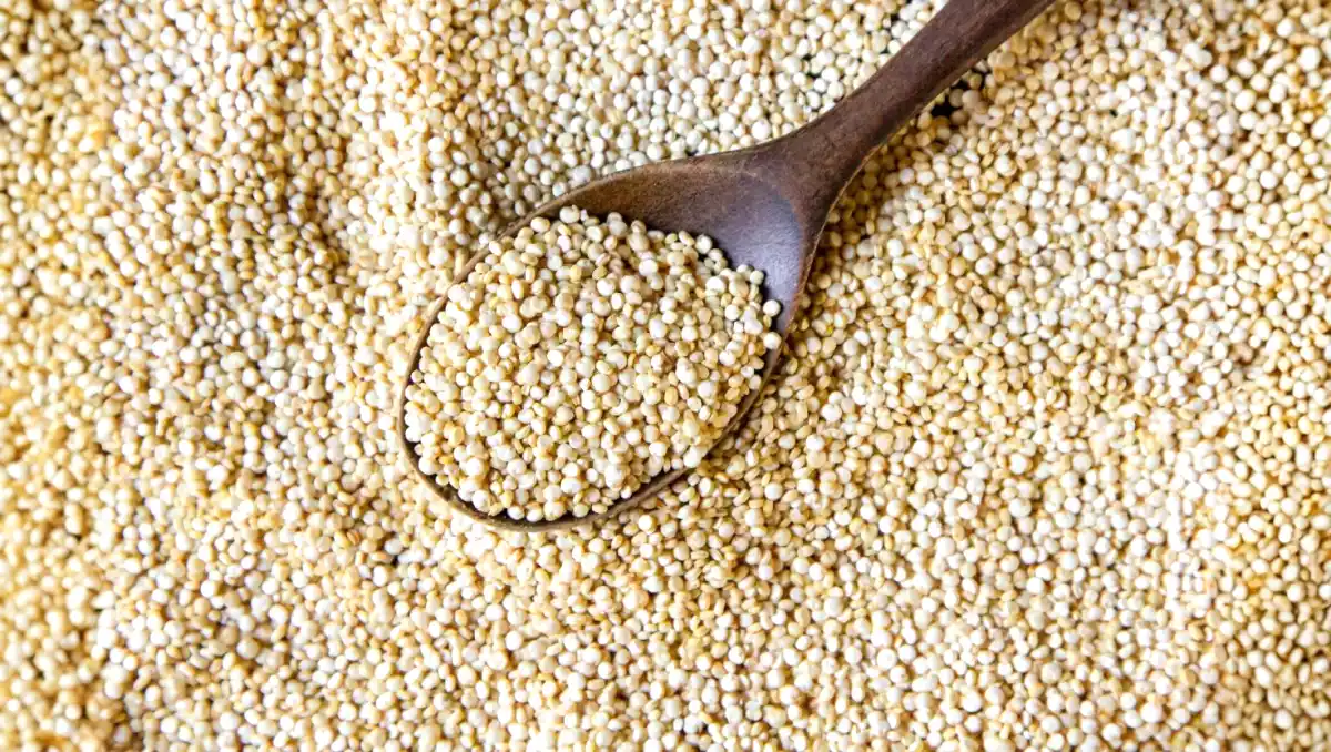Visste du att vissa frön innehåller mer protein än kött?