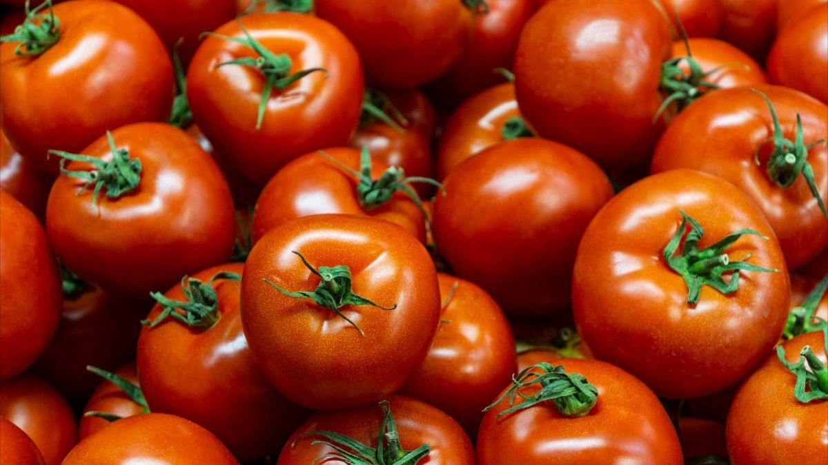 Håller tomaterna längre? Här är 5 tips som verkligen fungerar