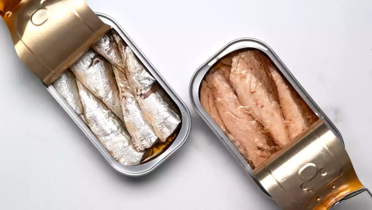 Sardiner på burk: varför denna lilla fisk har allt som talar för sig