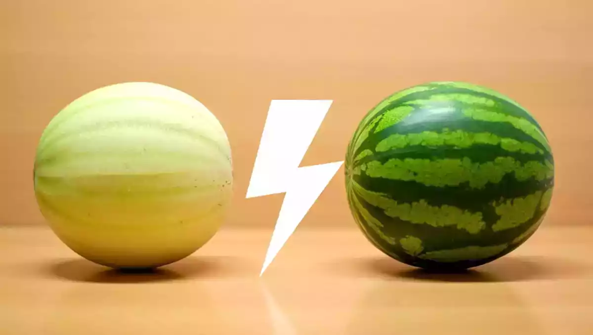 Melon vs vattenmelon: vilken återfuktar bäst?
