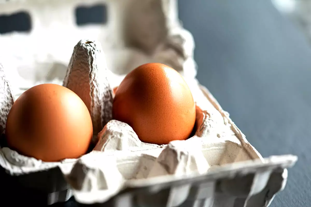 Sanningen om hållbarheten hos ägg är mycket annorlunda än vad man tror