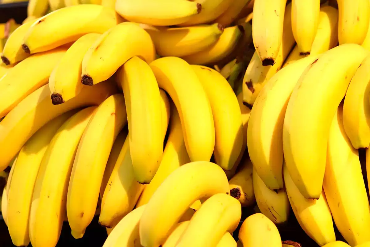 En liten detalj på bananen kan lätt vilseleda dig