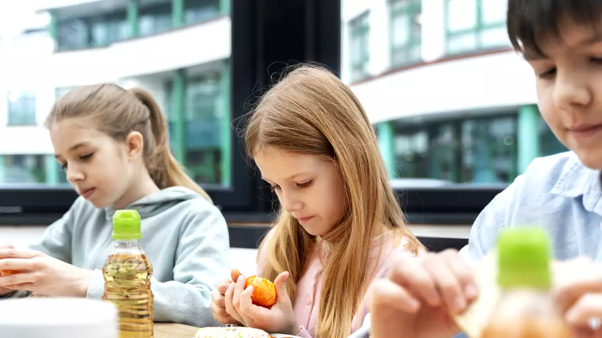 Den mest populära fisken på skolmenyer, förbjuden i Frankrike på grund av sin toxicitet