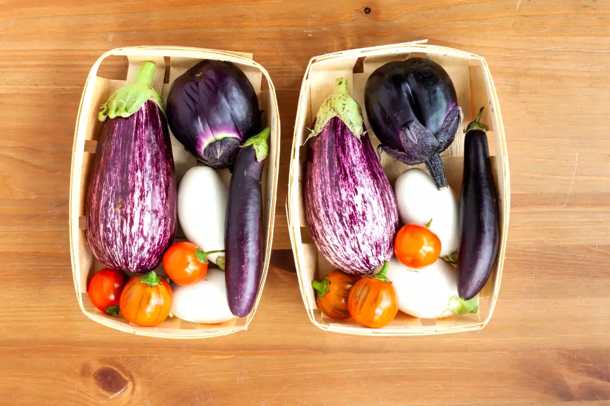 Marmorerad eller klassisk aubergine: här är vad som verkligen skiljer dem åt