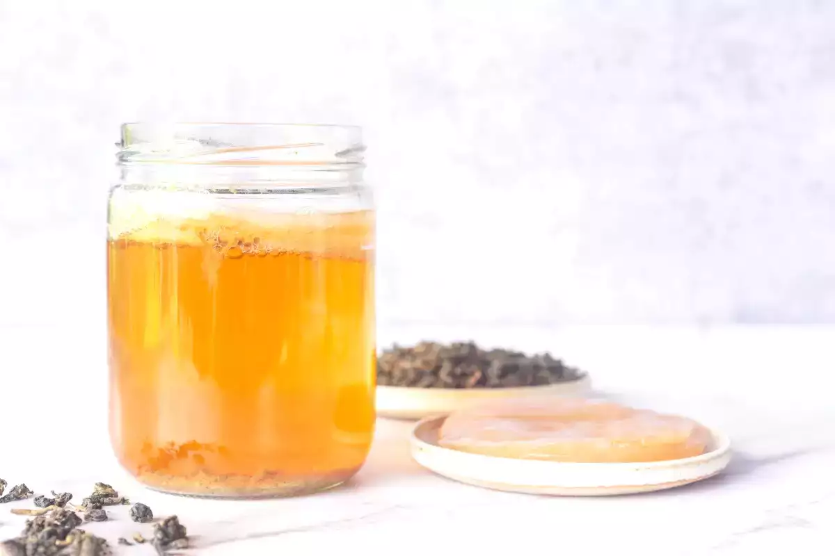 Endast 3 ingredienser behövs för att göra egen kombucha utan utrustning eller stress