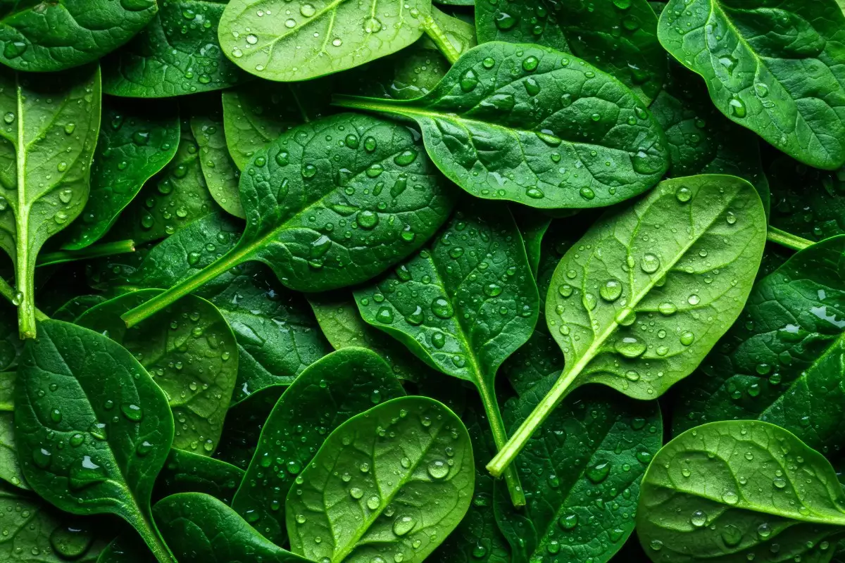 Jamie Olivers smarta knep som förändrar allt när man lagar frysta spenat