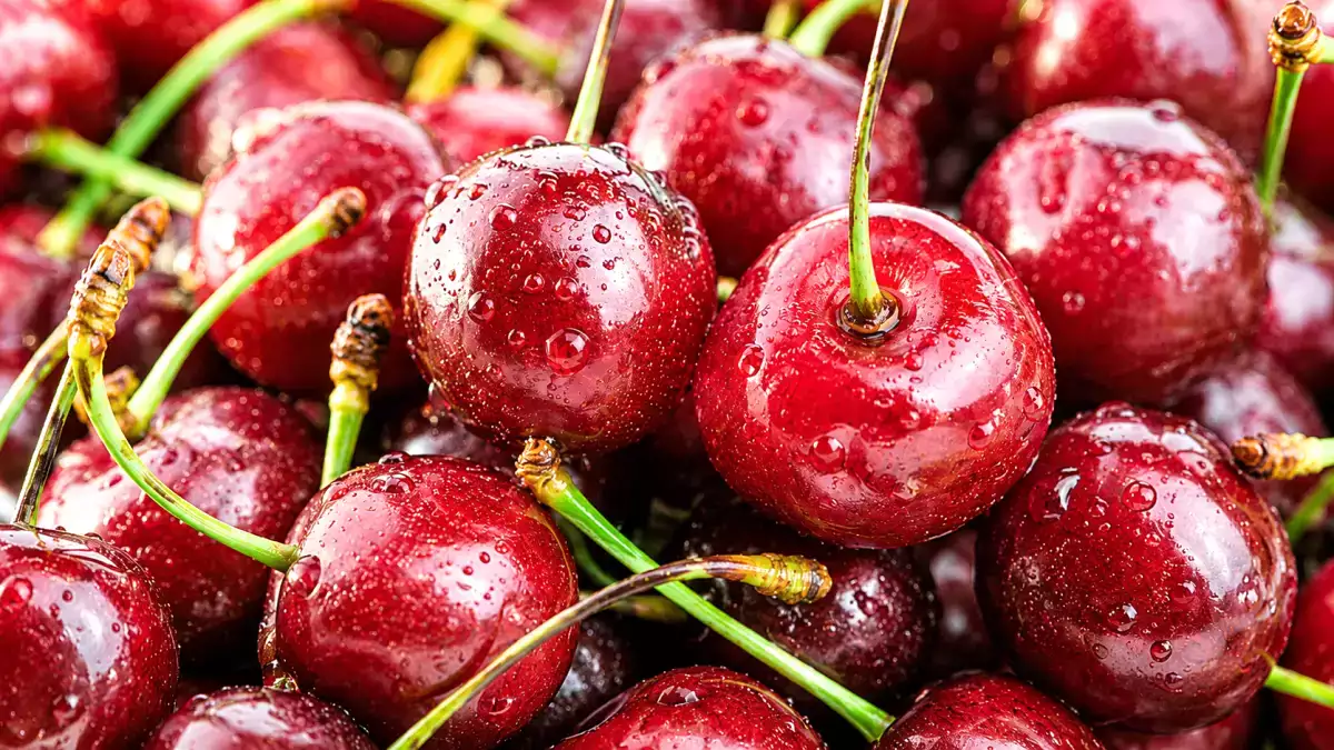 Hur man väljer söta körsbär och undviker vattniga frukter på marknaden