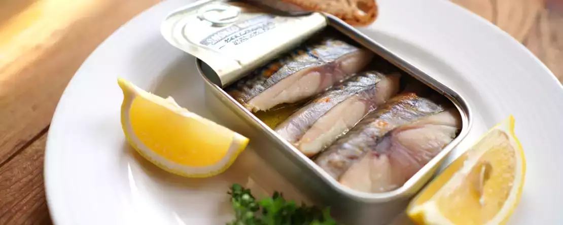 Är makrill på burk bra för hälsan? Alla dess fördelar under mikroskopet