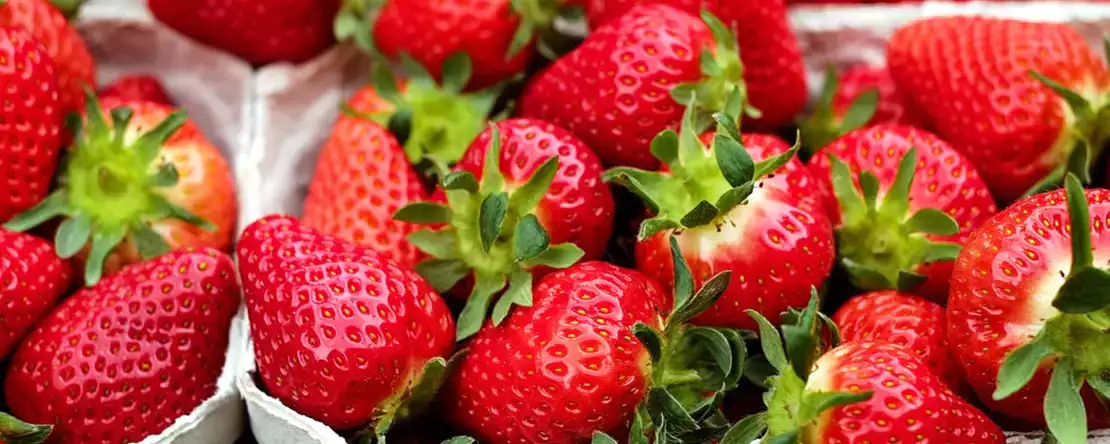 Så du kan behålla dina jordgubbar längre!