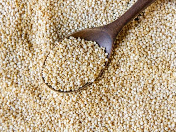 Visste du att vissa frön innehåller mer protein än kött?