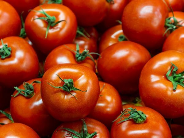 Håller tomaterna längre? Här är 5 tips som verkligen fungerar