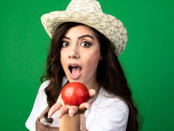 Tomat: frukt eller grönsak? Sanningen kommer att chocka dig!