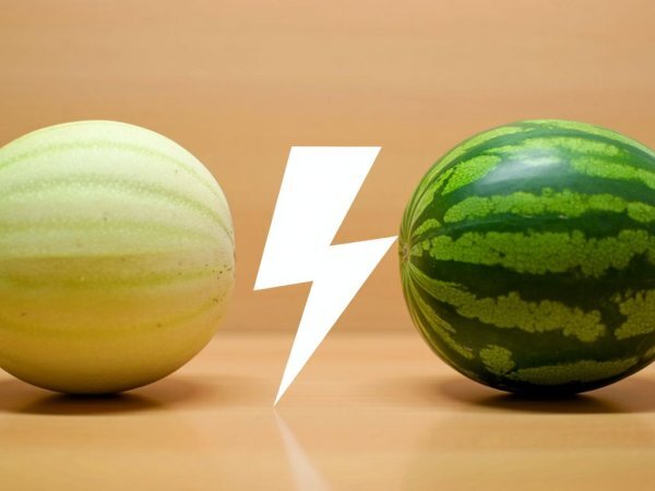 Melon vs vattenmelon: vilken återfuktar bäst?