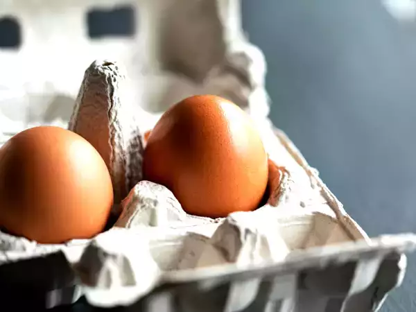 Sanningen om hållbarheten hos ägg är mycket annorlunda än vad man tror