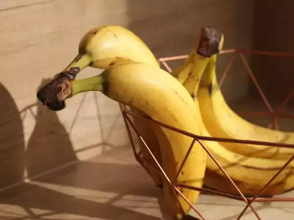 Ska man verkligen förvara sina bananer i kylen – det tydliga svaret