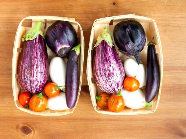 Marmorerad eller klassisk aubergine: här är vad som verkligen skiljer dem åt