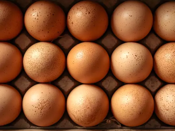 Protein, kolesterol, energi... vad händer om du äter ägg varje dag?