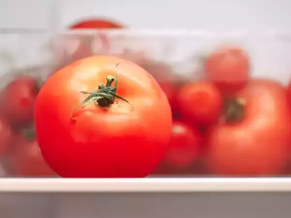 Sätta tomater i kylskåpet? Experternas misstag som förstör deras smak