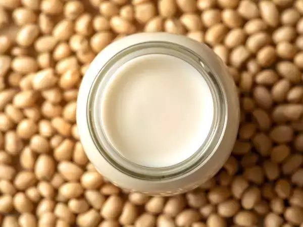 Vilken växtbaserad mjölk är hälsosammast? Låt oss ta reda på det!