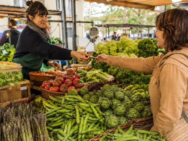 Bli grön i vår: 10 kreativa recept med säsongens grönsaker