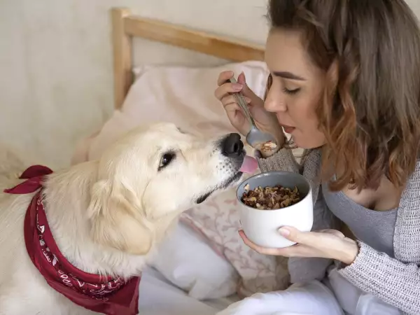 8 livsmedel som du definitivt inte bör ge din hund!