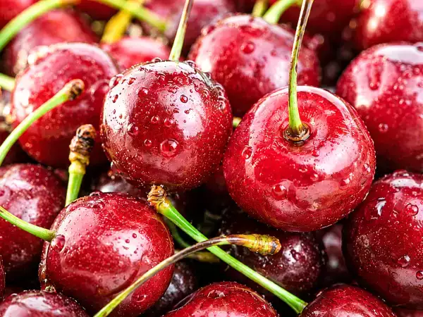Hur man väljer söta körsbär och undviker vattniga frukter på marknaden