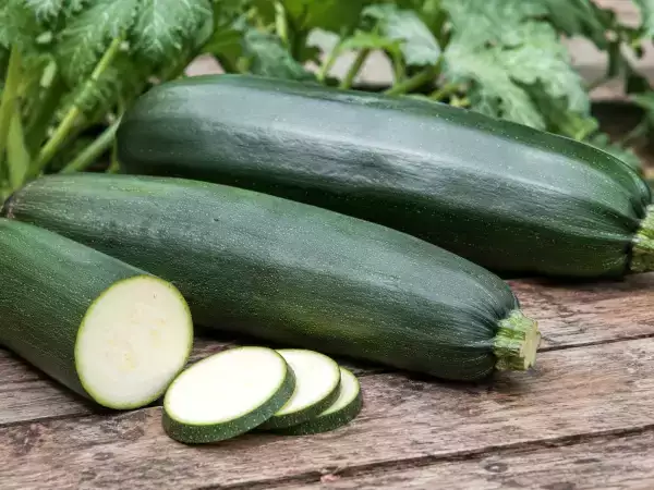 För stora zucchini: går det fortfarande att äta dem?