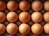 Artiklar: Protein, kolesterol, energi... vad händer om du äter ägg varje dag?