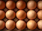 Artiklar: Protein, kolesterol, energi... vad händer om du äter ägg varje dag?