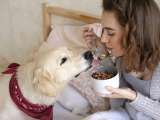 Artiklar: 8 livsmedel som du definitivt inte bör ge din hund!