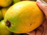 Artiklar: Nästan alla väljer fel slags mango på marknaden och inser sitt misstag först när de kommer hem