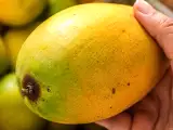Artiklar: Nästan alla väljer fel slags mango på marknaden och inser sitt misstag först när de kommer hem