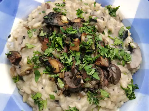 Recept Krämig risotto med svamp