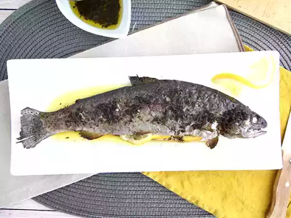 Recept Ugnsbakad öring med timjan och olivolja