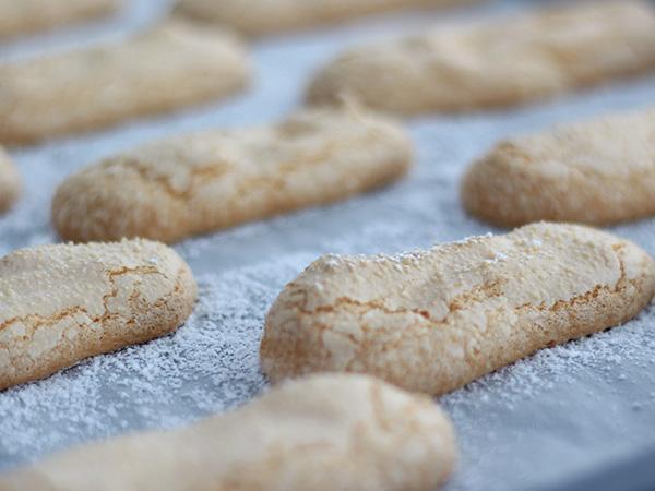 Recept Enkla svampbiskvier