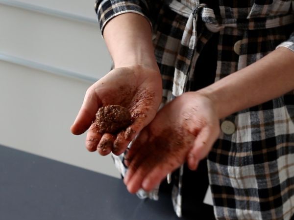 Hemmagjorda Ferrero-stil rochers - Beredning steg 6