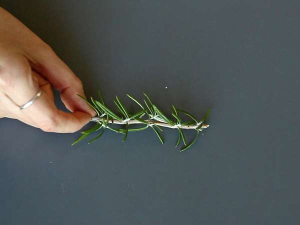 Cocktail med en snötäckt gran inuti - Beredning steg 1