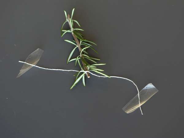 Cocktail med en snötäckt gran inuti - Beredning steg 3