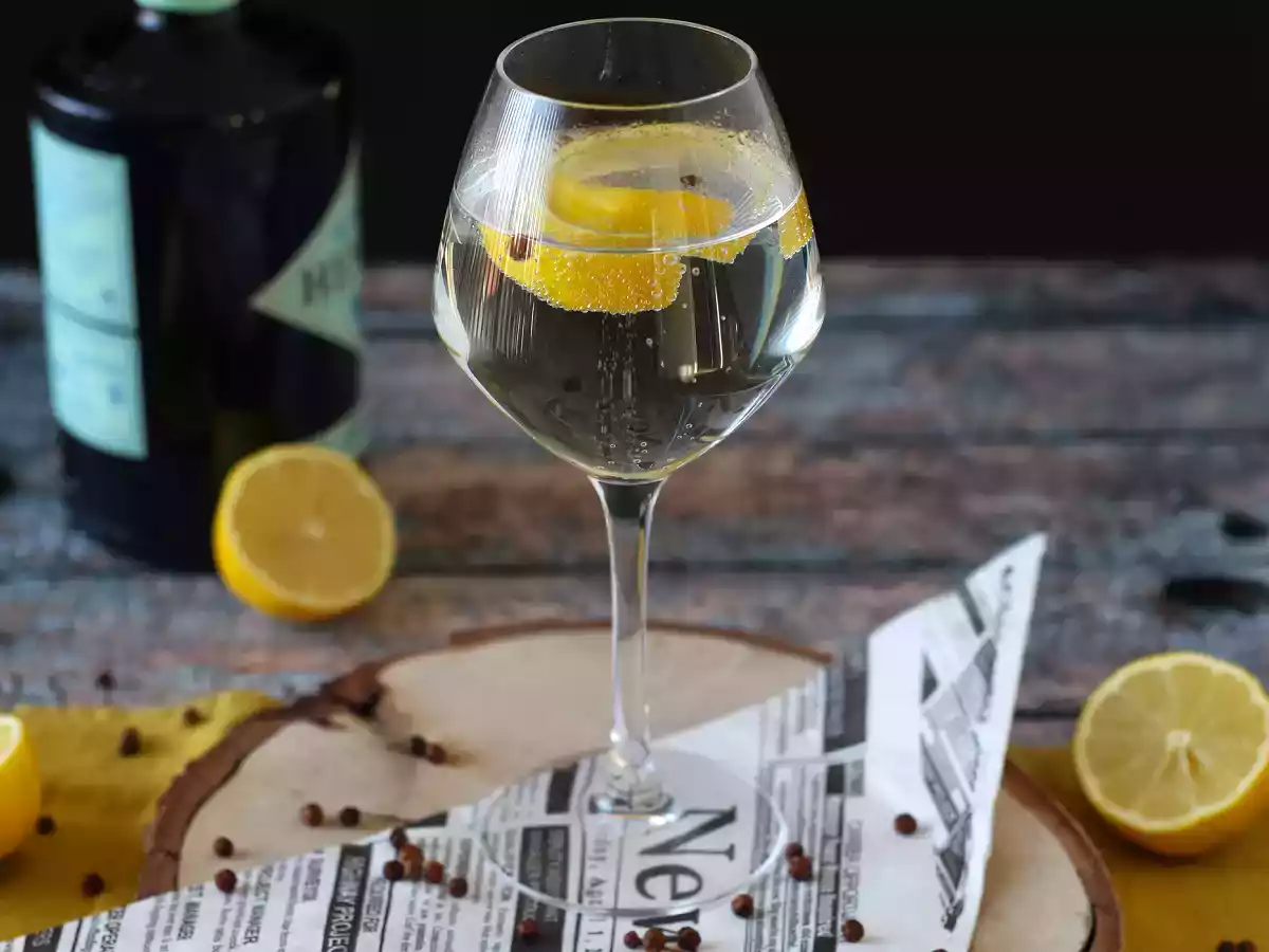 Gin och tonic, den perfekta cocktailen för aperitifen! - foto 3