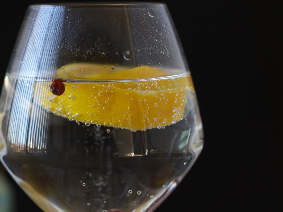 Gin och tonic, den perfekta cocktailen för aperitifen! - foto 5