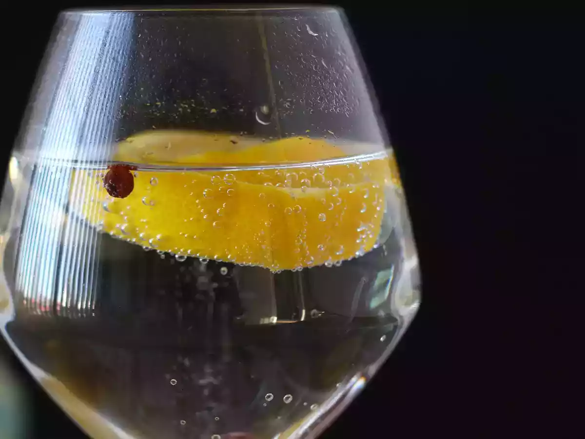 Gin och tonic, den perfekta cocktailen för aperitifen! - foto 5