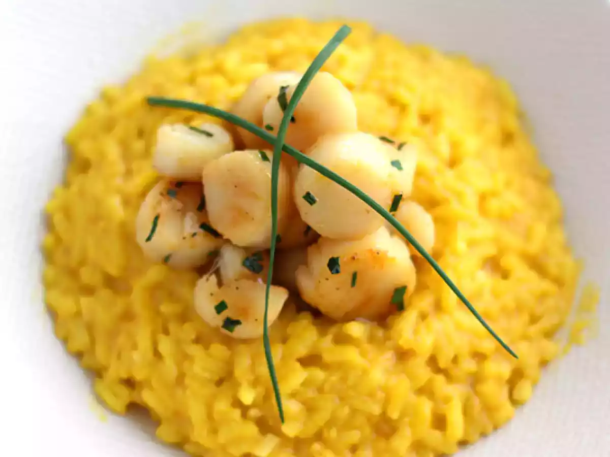 Risotto med pilgrimsmusslor och saffran