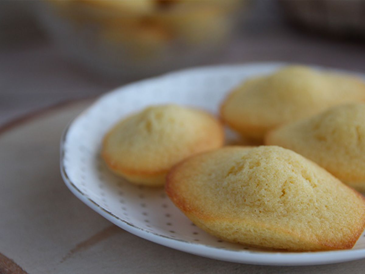 Vanliga Madeleines - foto 4