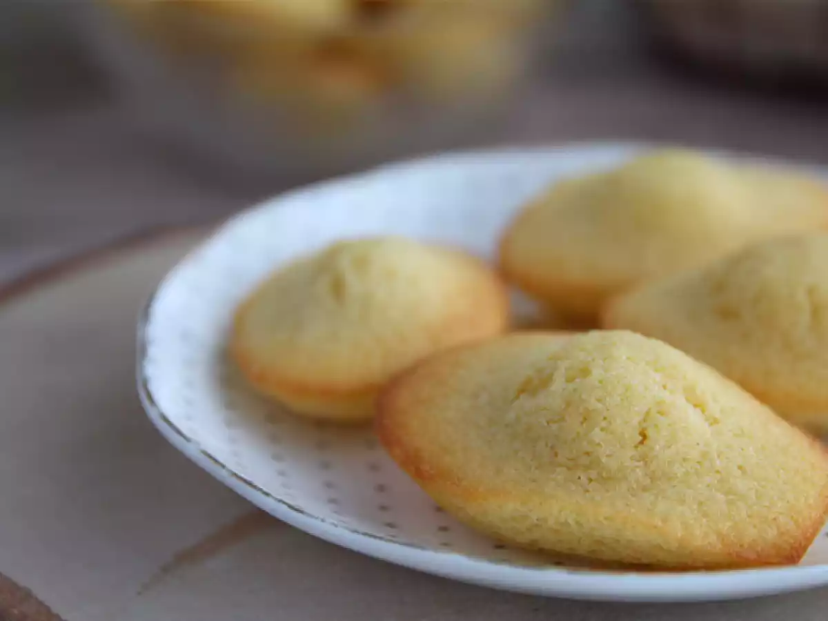 Vanliga Madeleines - foto 4