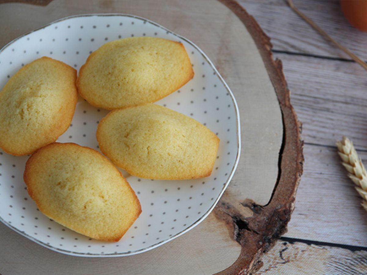 Vanliga Madeleines - foto 6